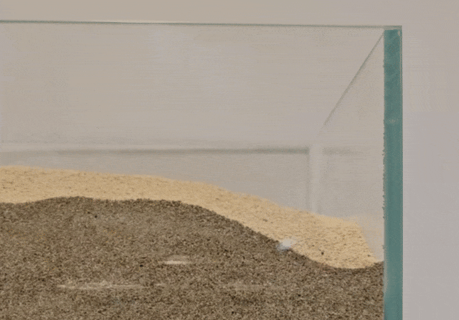 Sands shift in a glass box as an orange robotic worm surfaces.