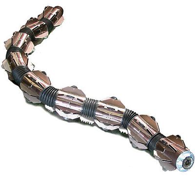 A segmented snake like robot on a white background.