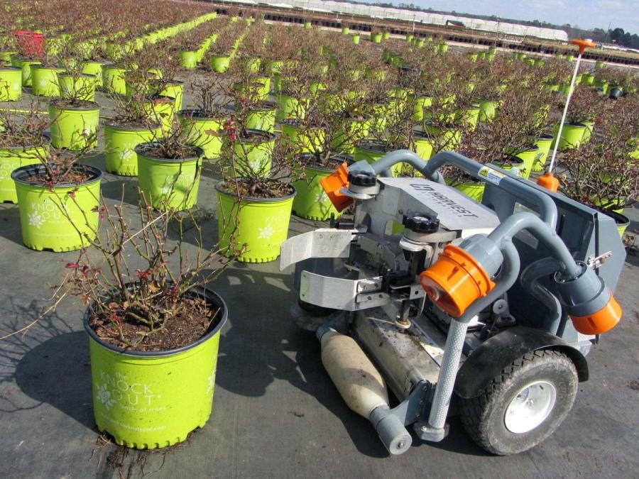 A short wheeled robot with a roller on it's bottom front extends a claw towards a potted plant, which is one among many.