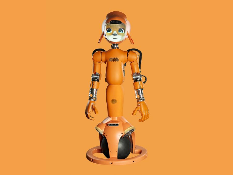 Mirokaï, an orange humanoid robot, with two large pointed ears and an animal face displayed on a screen. It's lower half is a black ball that it balances on.