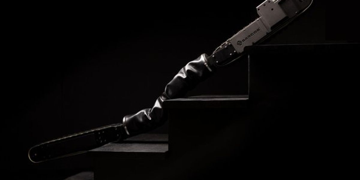 Demo: A Versatile Snake Robot That Masters Tough Terrain and Climbs Metal Walls