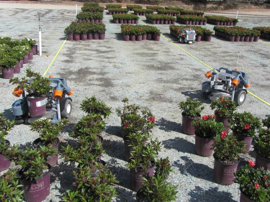 Two robots move to pick up potted plants in a lot populated by many green leafy potted plants.