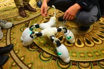 Fable Wants to Make Modular Robotics Easy for Everyone