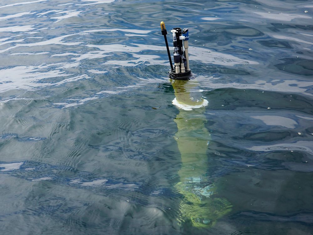 Submarine periscope partially submerged in calm water.
