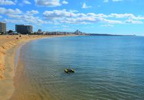 Photo Gallery: Snake Robots, Humanoids, Drones, and More