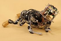 Video Friday: Pneumatic Babies, More ZenRobotics Epicness, and a Spanking Orchestra