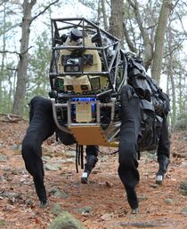 LS3 AlphaDog Robot Begins Outdoor Assessment (Video)