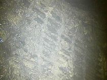 Melted Fuel Debris Possibly Located at the Fukushima Daiichi Nuclear Plant