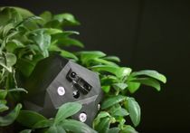 Robot-Plant Biohybrids Growing in European Laboratories