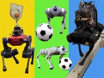 Quadrupeds Are Learning to Dribble, Catch, and Balance