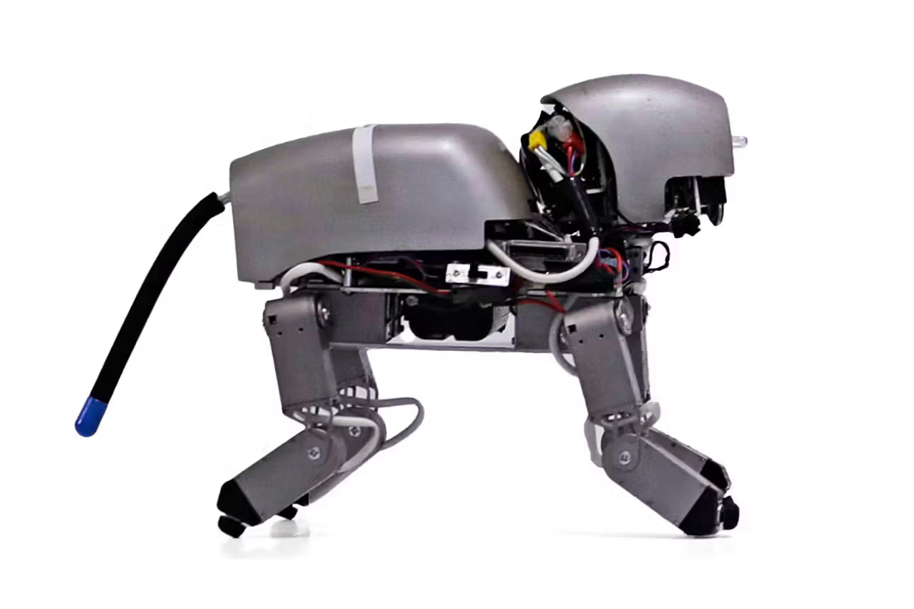 Four-legged robot dog prototype