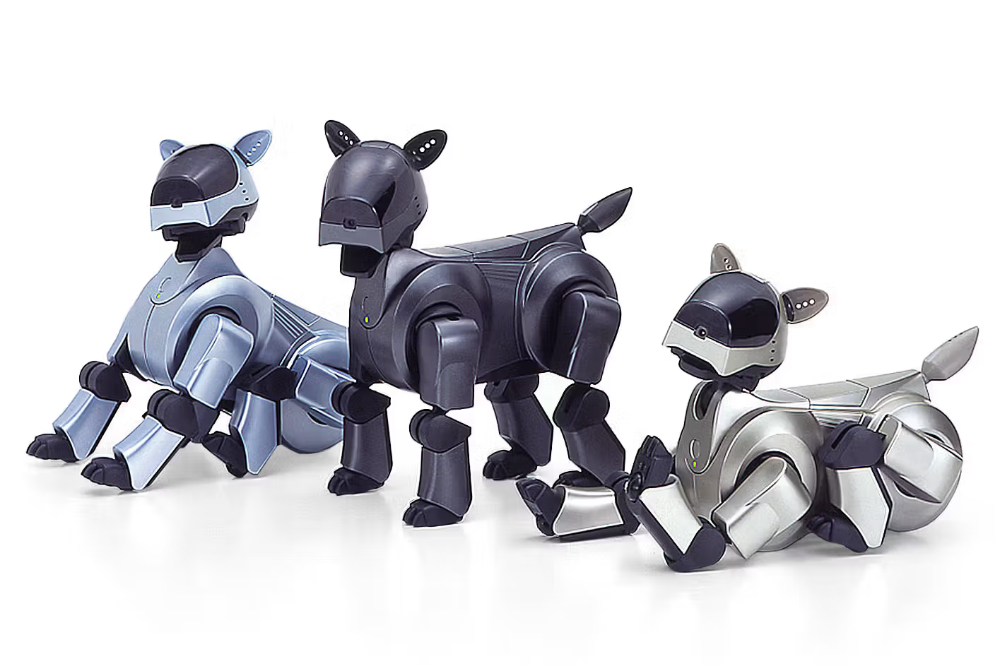 Three robotic dogs in silver, blue, and black